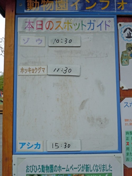 ５月２４日の予定