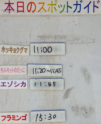 ５月２９日の予定