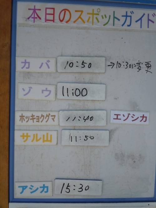 ５月３１日の予定