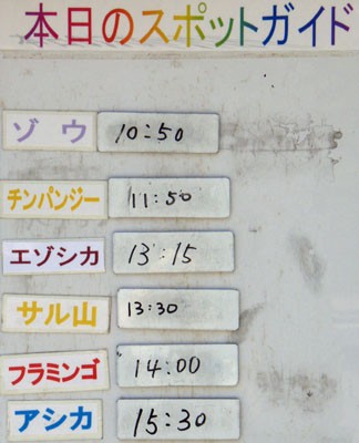 ６月１日の予定