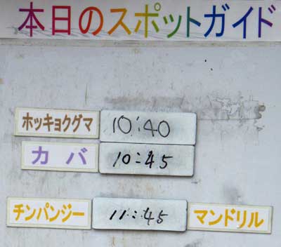 ６月４日の予定