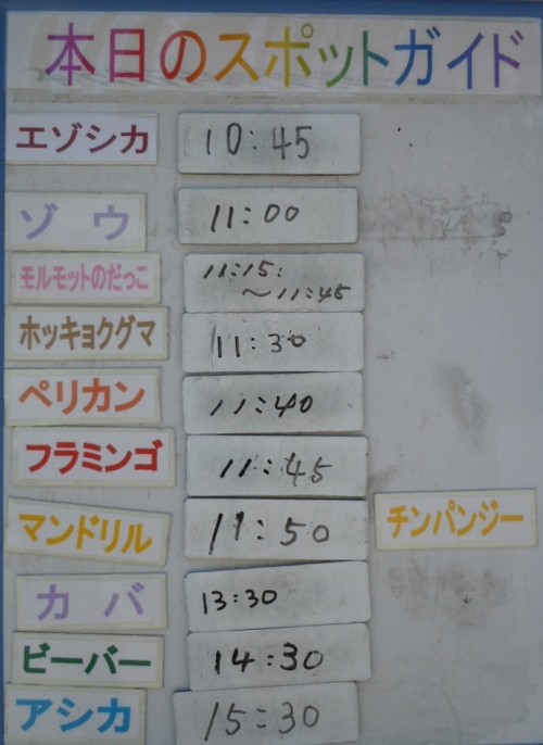 ６月５日の予定