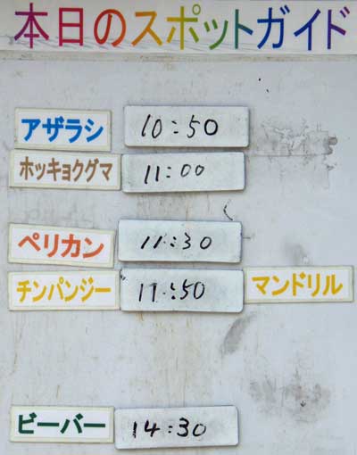 ６月９日の予定