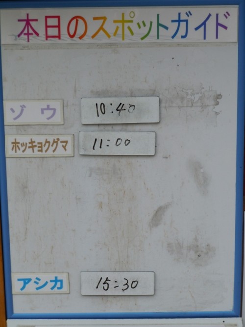 ６月１１日の予定