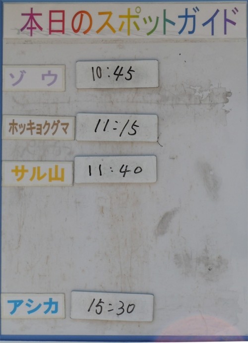 ６月１２日の予定