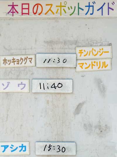 ６月１８日の予定