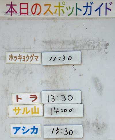 ６月１９日の予定