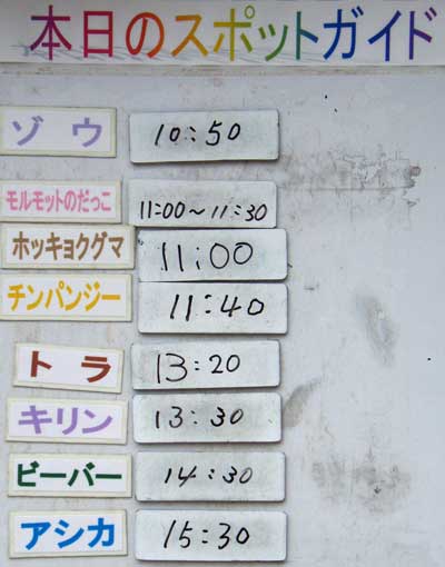 ６月２０日の予定