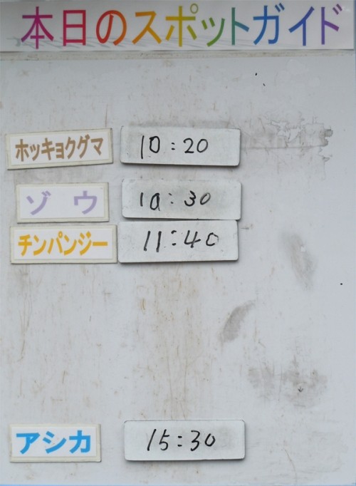 ６月２３日の予定