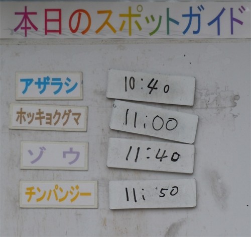 ６月４日の予定