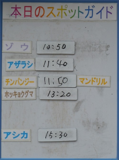 ６月２９日の予定