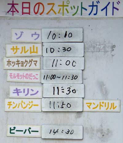 ７月４日の予定