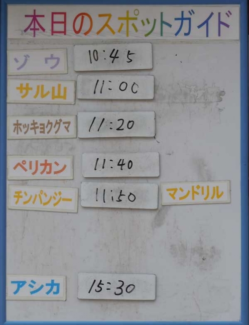 7月5日の予定