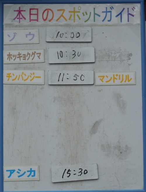 ７月１２日の予定