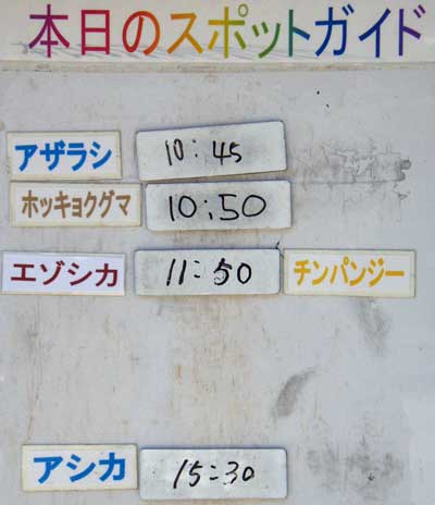 ７月１３日の予定