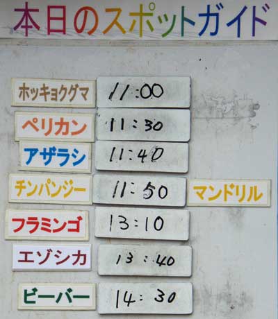 ７月１６日の予定