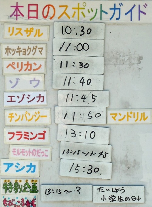 7月１７日　三連休初日