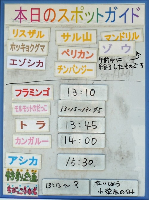 7月１７日　午後の部