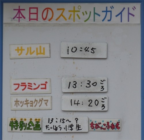 ７月２９日の予定