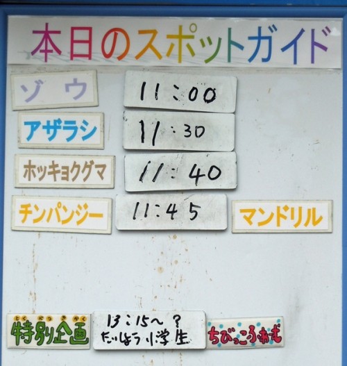 ７月３０日の予定