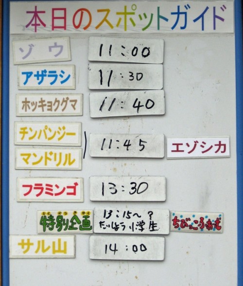 ７月３０日の予定　増えました