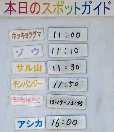 ７月３１日の日中の予定