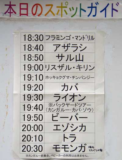 ７月３１日よるの部