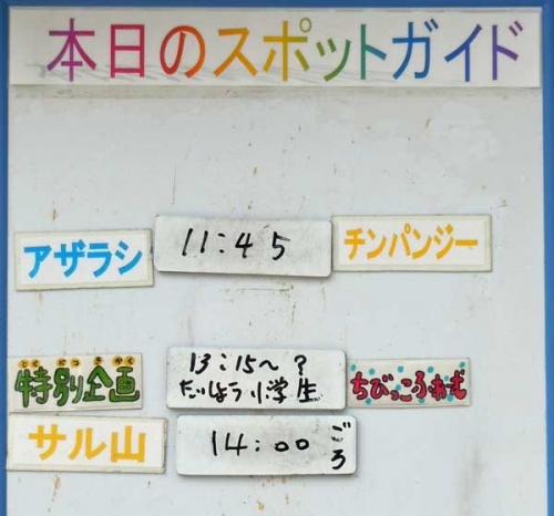 ８月２日の予定