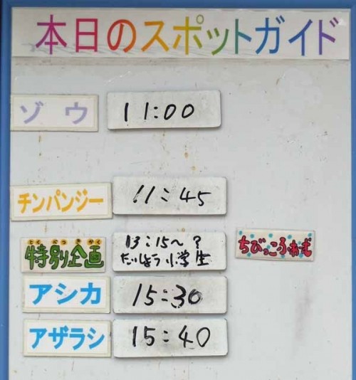 ８月５日の予定