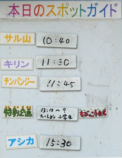 ８月８日の予定