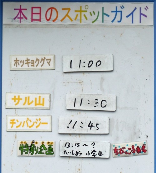 8月11日の予定