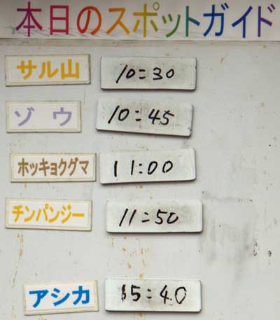 ８月１２日の予定