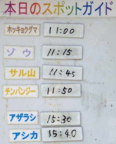 ８月１３日の予定