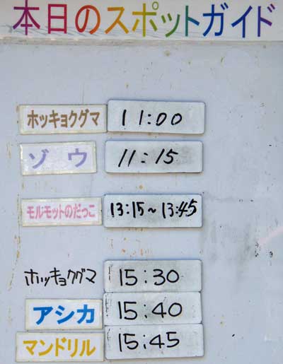 ８月１４日の予定