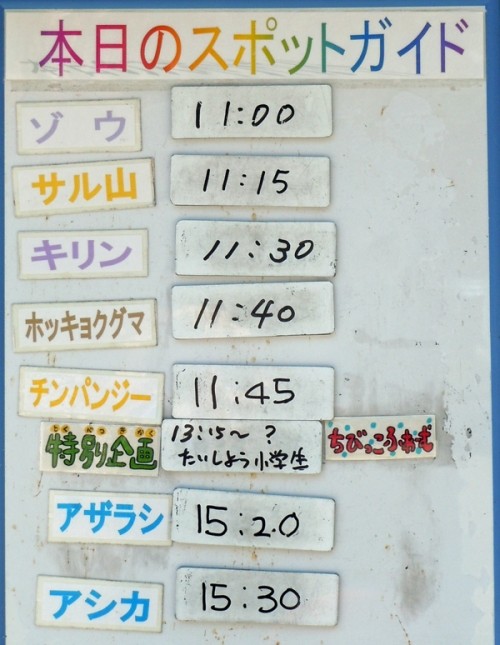 ８月１６日の予定