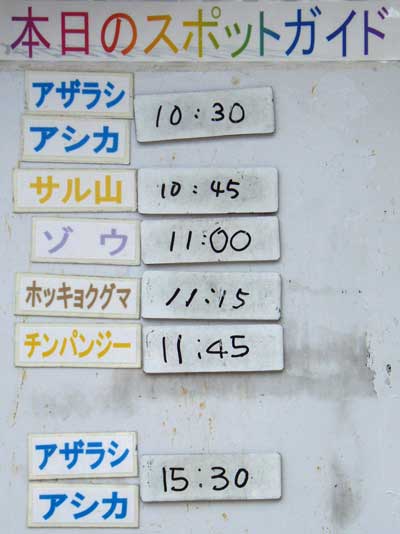 ８月２０日の予定