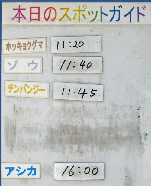 ９月４日の予定