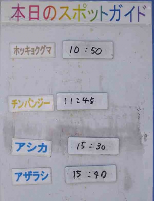 ９月８日の予定