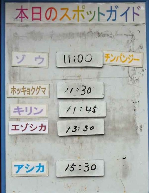 １０月１０日の予定