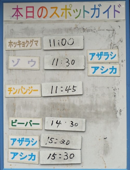 １０月１５日の予定