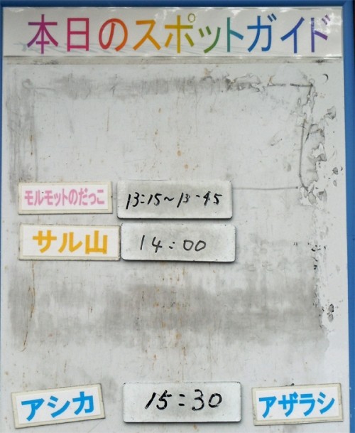 10月16日の予定