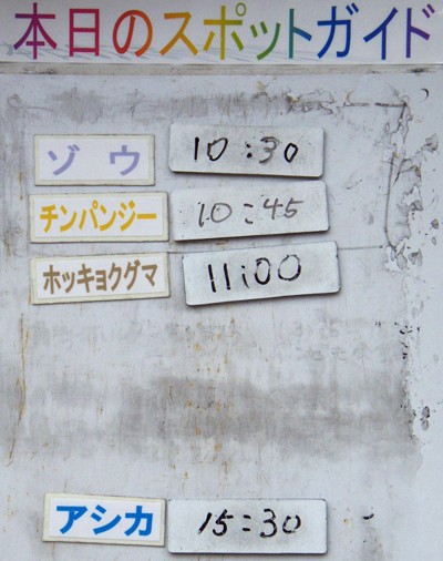 １０月２０日の予定