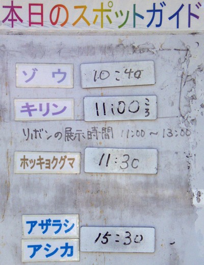 １０月２３日の予定