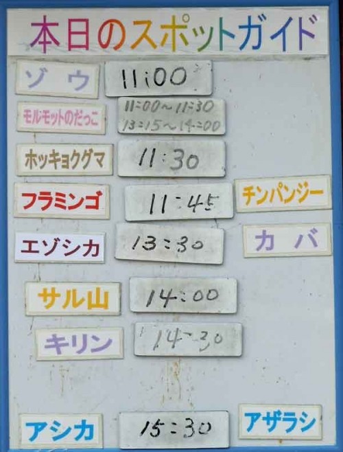 11月３日　夏期開園最終日