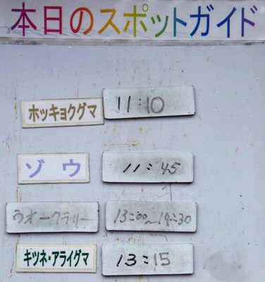 １２月１１日の予定