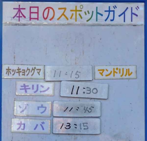 １２月１２日の予定