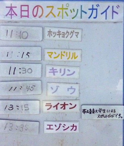 １２月１９日の予定