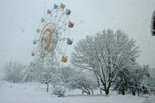 本日（１２月２３日）臨時閉園いたします！