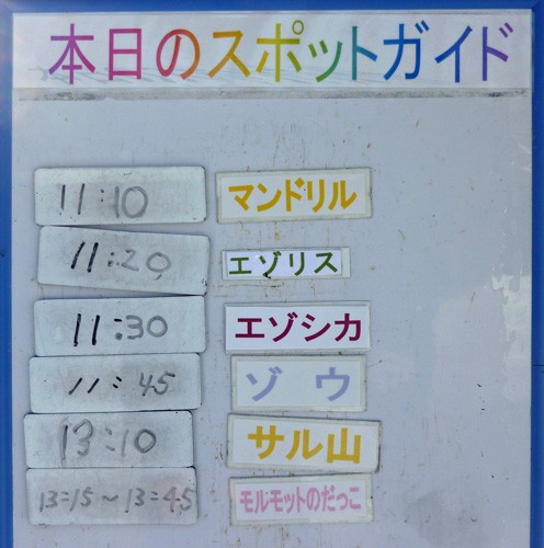 １２月２５日の予定