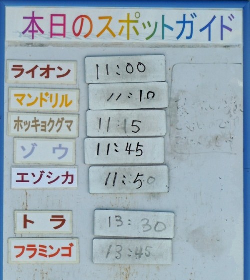 １月１５日の予定